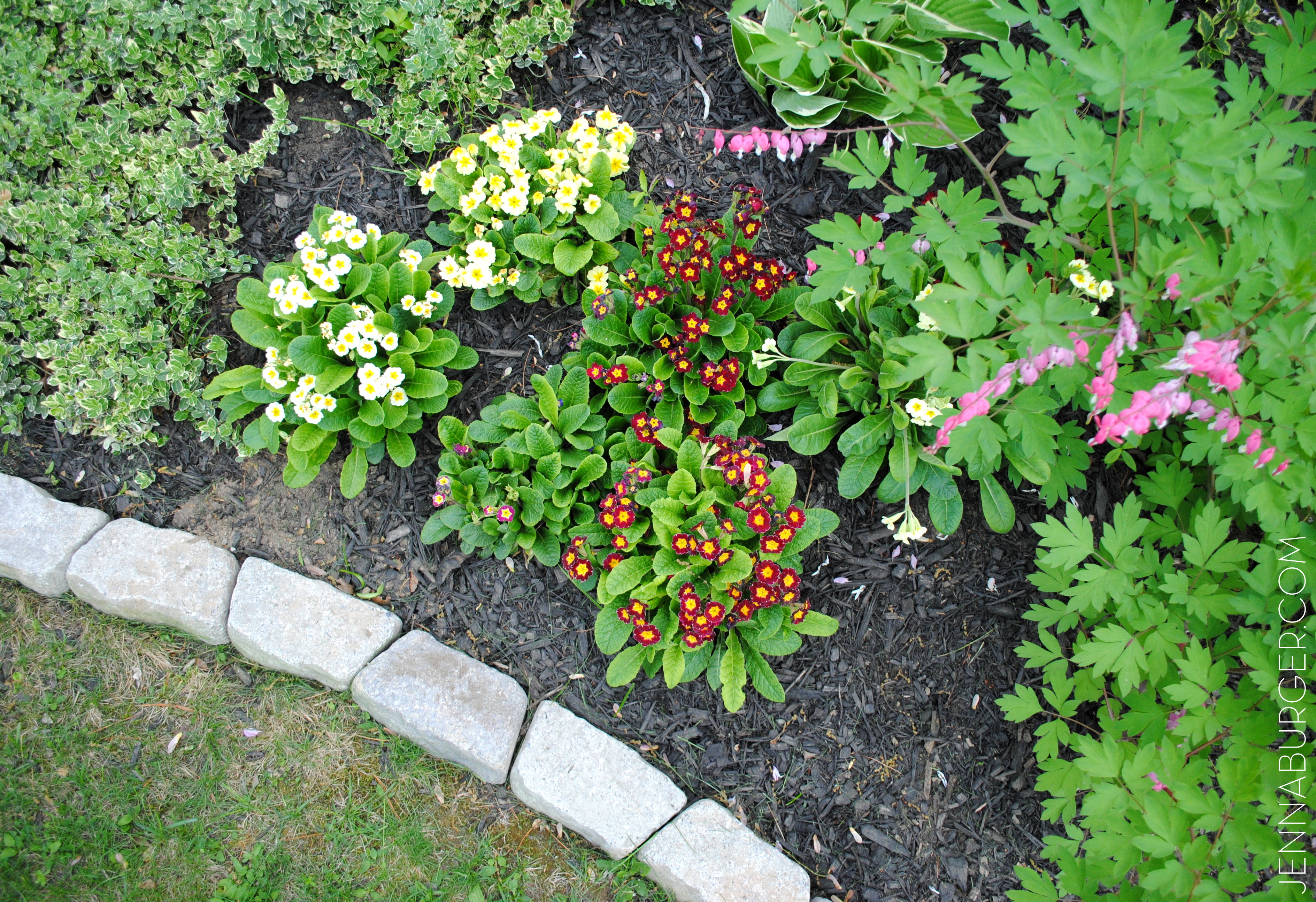 the easiest garden edging ideas that are budget friendly