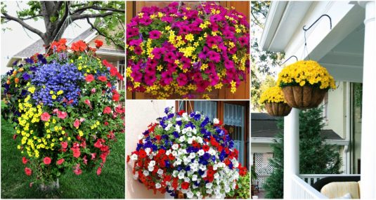 Important Tips For Hanging Flower Basket Like A Professional