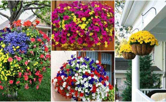 Important Tips For Hanging Flower Basket Like A Professional