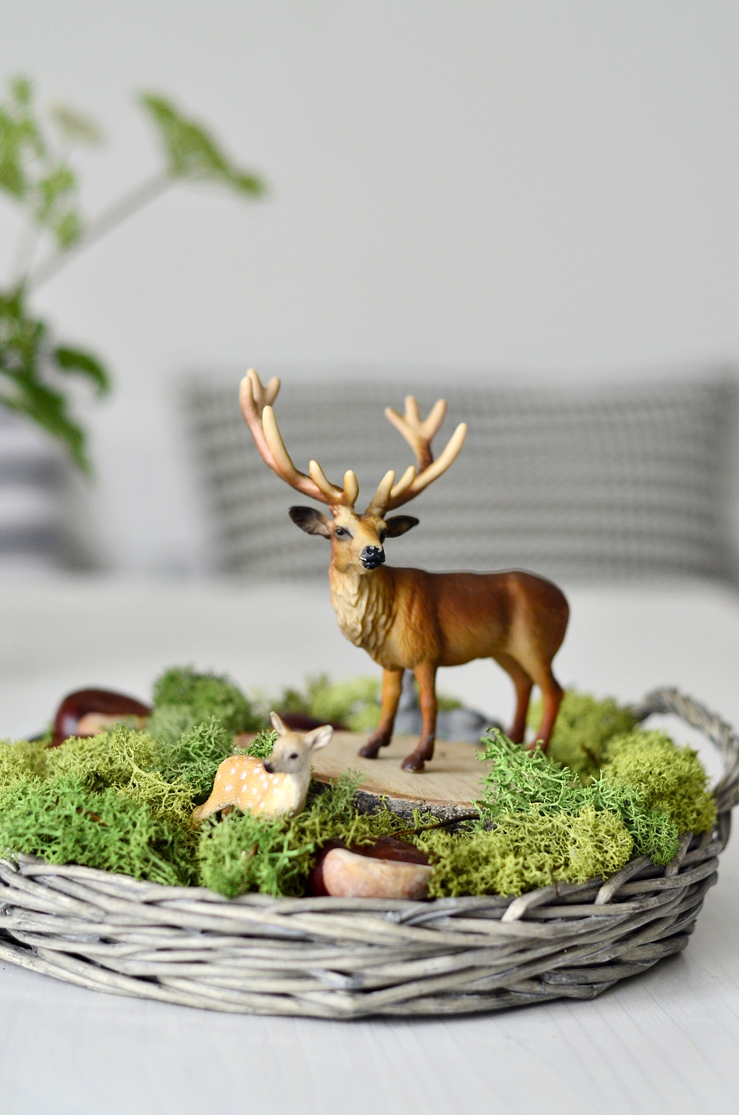 10 Ways To Do Moss Decor Like A Pro