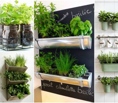 The Ultimate Guide On Indoor Herb Garden For Small Kitchens