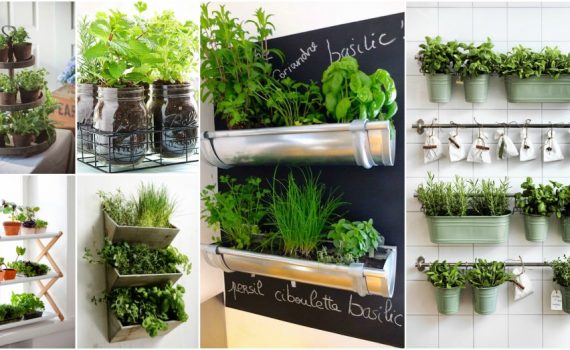 The Ultimate Guide On Indoor Herb Garden For Small Kitchens