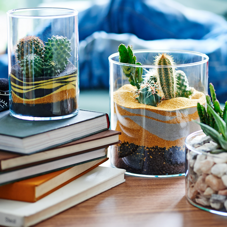 Easy To Make DIY Sand Terrarium That Will Bring Fun In Your Home