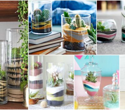 Easy To Make DIY Sand Terrarium That Will Bring Fun In Your Home