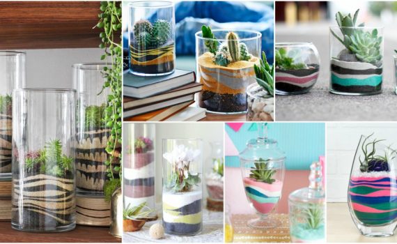 Easy To Make DIY Sand Terrarium That Will Bring Fun In Your Home