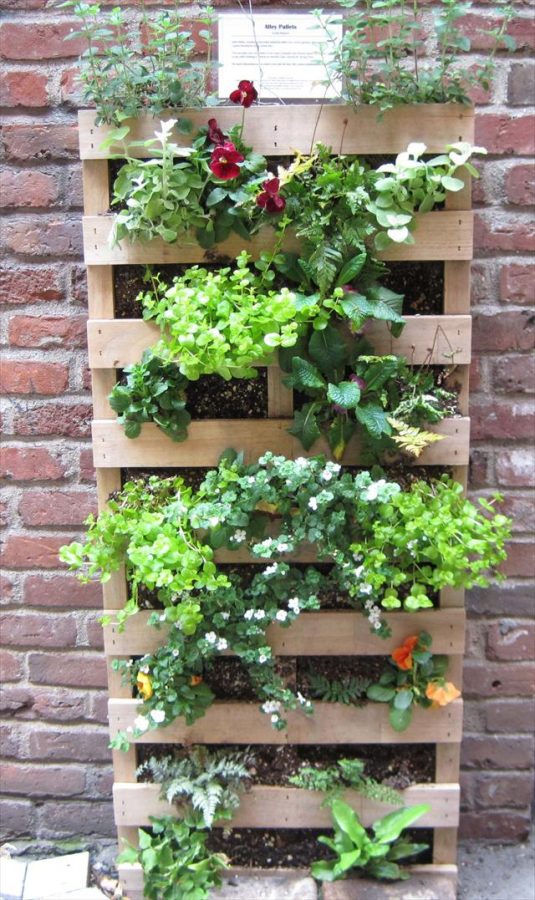 The Easiest Vertical Garden Made With Pallets! See How To Make It