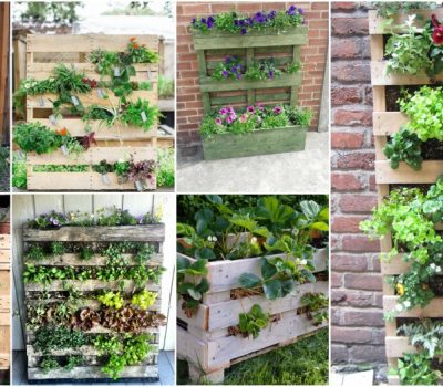 The Easiest Vertical Garden Made With Pallets! See How To Make It
