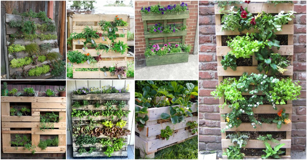 The Easiest Vertical Garden Made With Pallets! See How To Make It