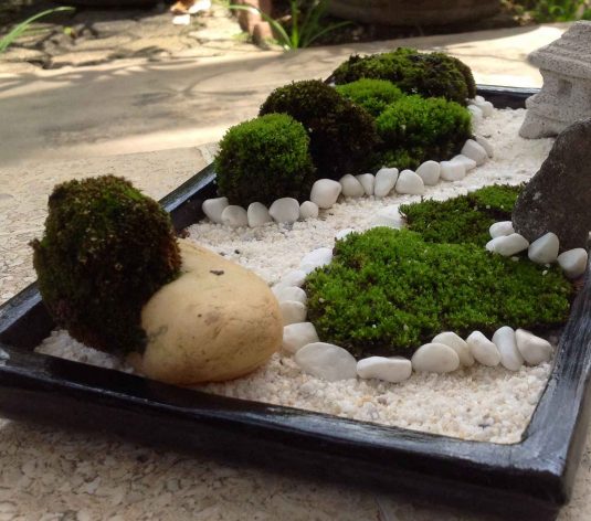 Mini Zen Garden Ideas To Bring Tranquility In Your Home