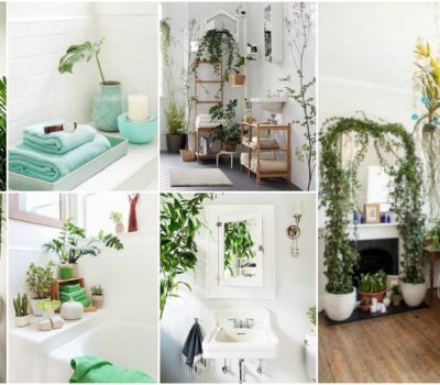 Important Bathroom Plant Tips To Help You Do It The Right Way