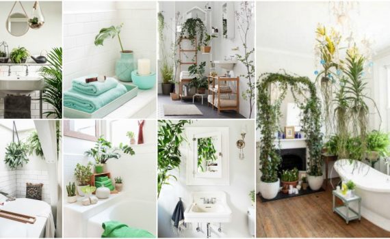 Important Bathroom Plant Tips To Help You Do It The Right Way