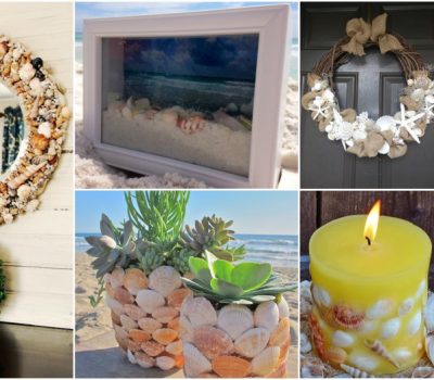 15 Easy And Budget-Friendly DIY Seashell Decor Ideas For This Summer