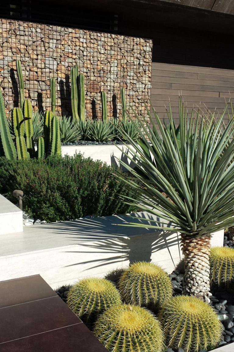 Outdoor Cactus Garden Ideas For The Best Looking Landscape 8069