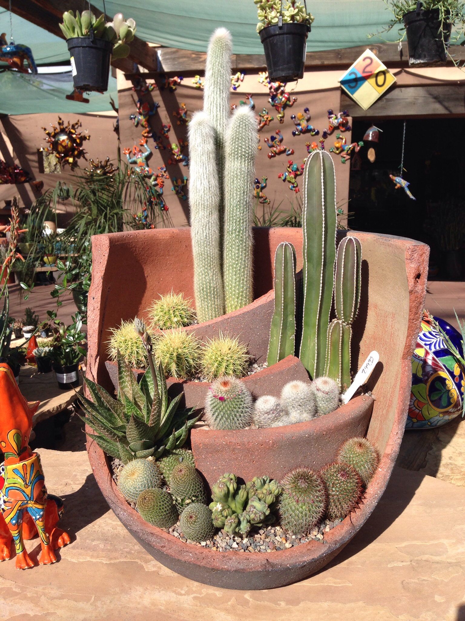 Outdoor Cactus Garden Ideas For The Best Looking Landscape