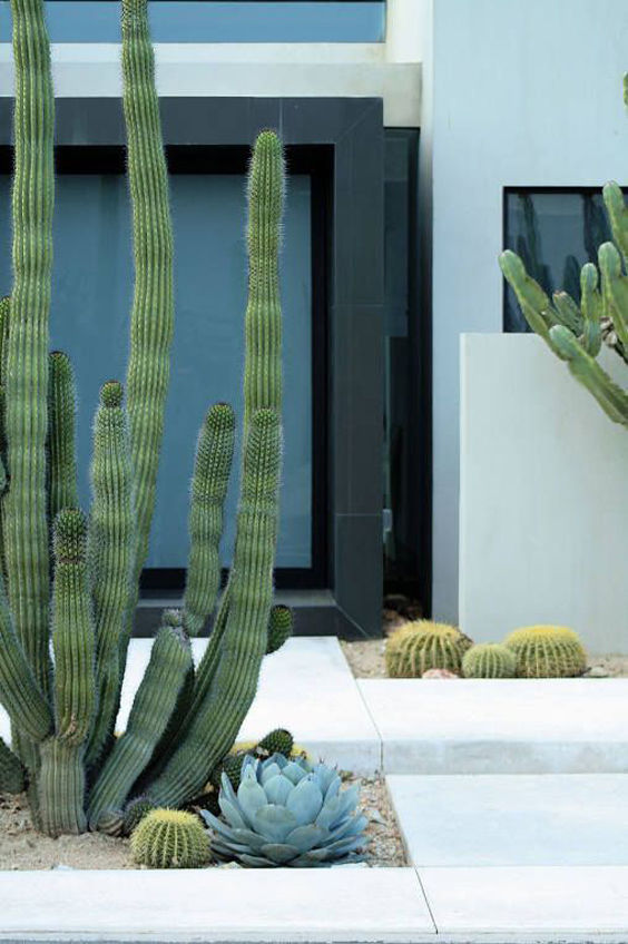 Outdoor Cactus Garden Ideas For The Best Looking Landscape