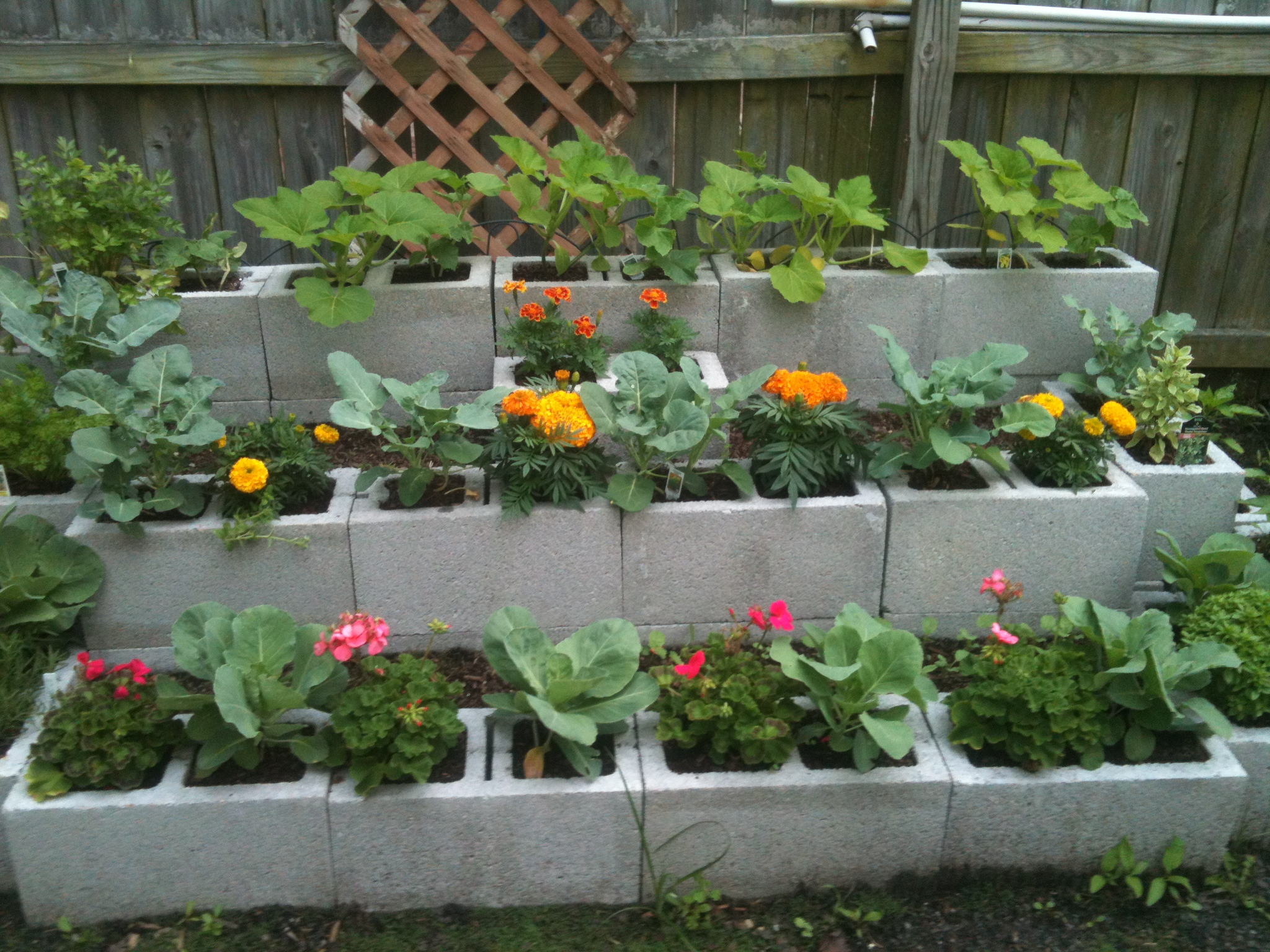 cheap and easy diy cinder block projects for your outdoor