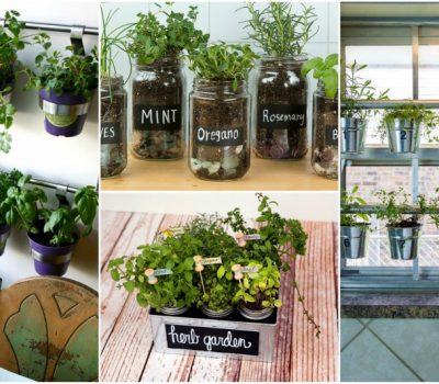 Indoor Herb Garden Ideas And Helpful Tips For Maintaining
