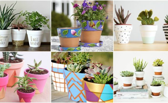 Cute Pot Decor Ideas To Make Them Look Outstanding