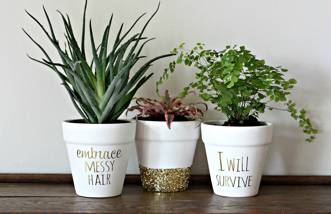 Cute Pot Decor Ideas To Make Them Look Outstanding