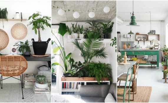 Indoor Plant Decor Ideas To Freshen Up Your Home