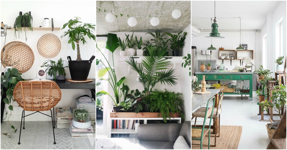 Indoor Plant  Decor  Ideas To Freshen Up Your Home 