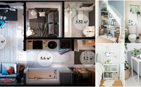 Top Small Home Rules For A Comfortable Life