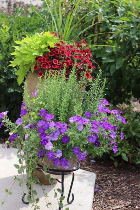 Amazing Front Door Container Gardening Ideas And Styling Tips