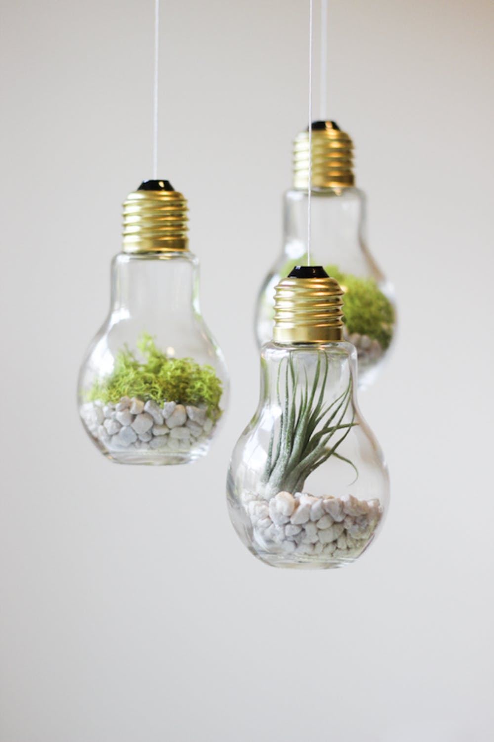 Brilliant Light Bulb DIY Ideas That Will Amaze You