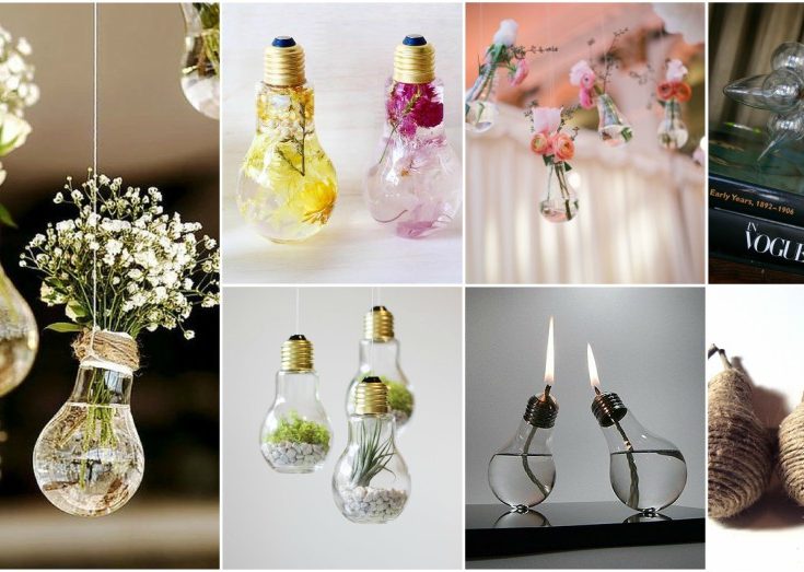 Brilliant Light Bulb DIY Ideas That Will Amaze You