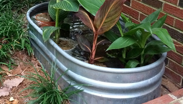 Diy Water Container Garden For A Stunning Patio