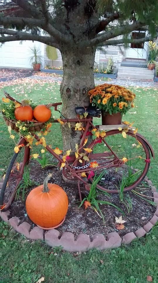 Fall Front Yard Decorations That Will Make Your Neighbors Jealous